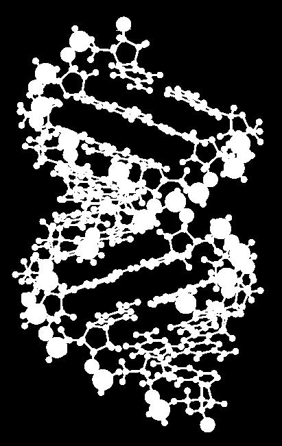 A-form double helix (RNA) B-form double helix (DNA) Figure 12.