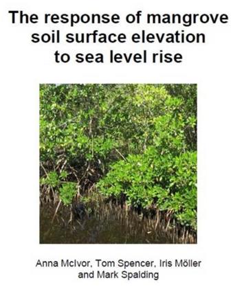 poverty alleviation Mangrove