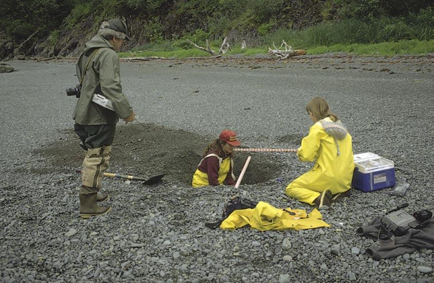 Shoreline Assessment Job Aid National Oceanic and Atmospheric Administration NOAA