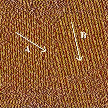 Fig 5.1 The large-area STM result of the Self Assembled Monolayers formed by DDPER from saturated phenyloctane solution (60nm 60nm, V bias =-666mV, I set = 30pA).