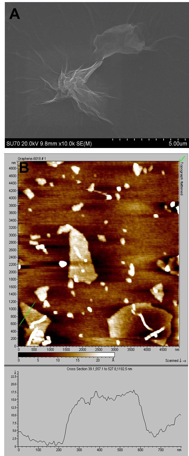 Fig. S1 A) FE-SEM and B) AFM