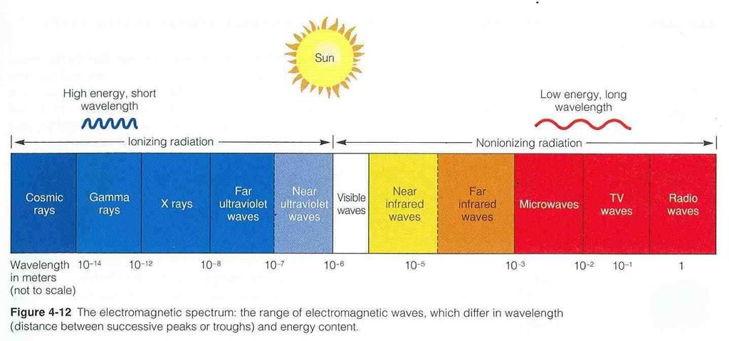 Types of Kinetic energy Thermodynamics Energy must be supplied (from the sun) to keep biological