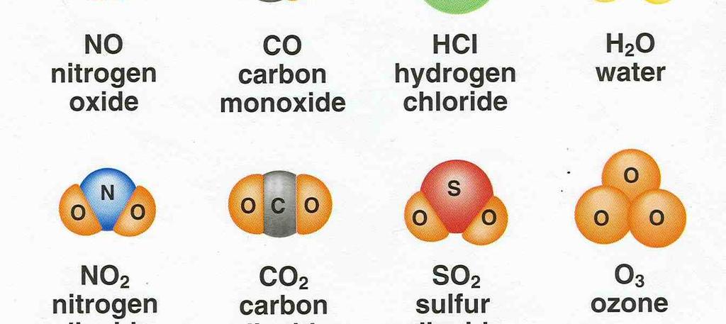 05%) Copper, Zinc, Selenium, Molybdenum, Fluorine, Chlorine, Iodine, Manganese, Cobalt, Iron