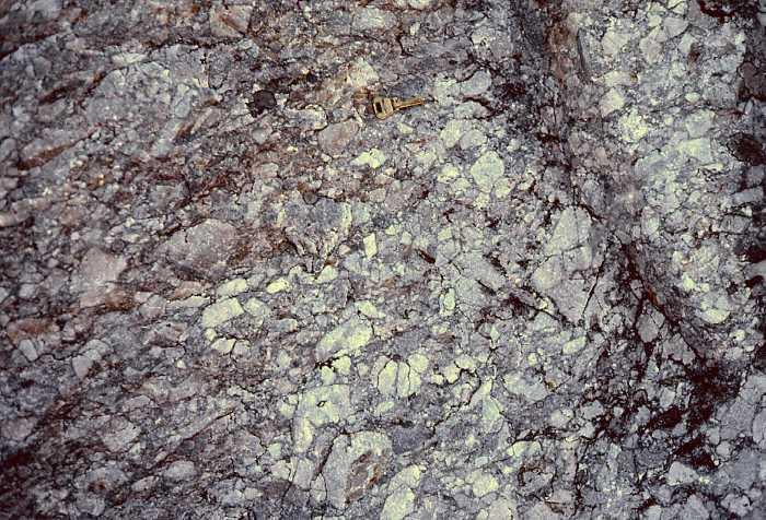 Photo by Henry N. Berry IV Clues to Its Origin The quartzite of Mount Battie is very interesting because many features are preserved from before the metamorphism.
