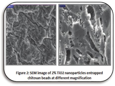 614 A. Dhanya and K. Aparna / Procedia Technology 24 ( 2016 ) 611 618 3.1.2 SEM and EDAX SEM (Scanning electron microscope) analysis was done to estimate the size of the TiO 2 nanoparticles and to