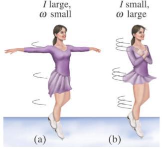 Learning Catalytics Question A figure skater stands on one spot on the ice (assumed frictionless) and spins around with her arms extended.