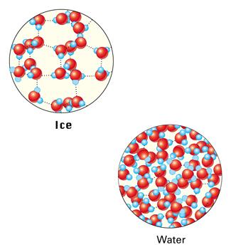 Figure 4-15 Ice floats because its molecules are less densely packed than those in liquid water. How is the fact that ice floats important to living things?
