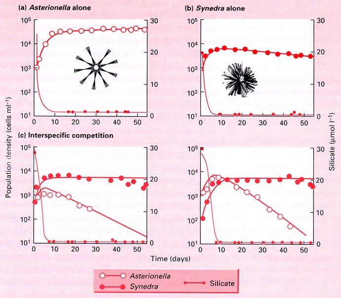 5. Tilman's diatoms exploitation/scramble (Fig. 8.