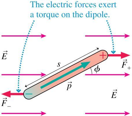 The Potential Energy of a Dipole Consider a dipole in a uniform electric field.