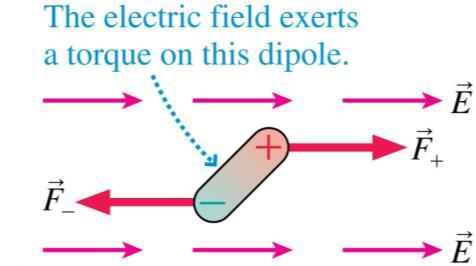 Dipoles in a Uniform Electric Field The figure shows an electric dipole placed in a uniform external electric field.