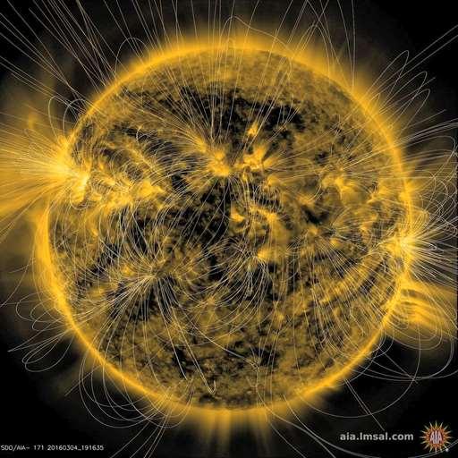 Magnetic fields in the solar corona All structure and