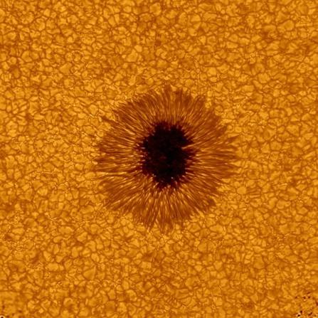 3. The solar cycle (cont.) Sunspot structure: Dark umbral region surrounded by a complex filamentary penumbra Sites of magnetic fields.