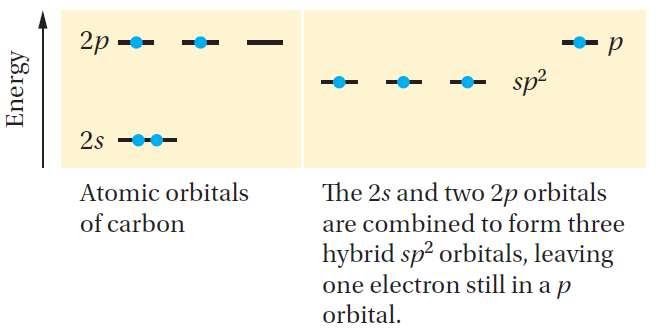 25 CARBON sp 2 HYBRID ORBITALS HYBRIDIZATION o Combine only three of the orbitals, to make three