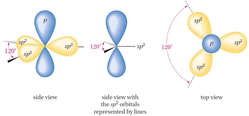 two p orbitals) o Three valence electrons are placed in the three sp 2 orbitals.