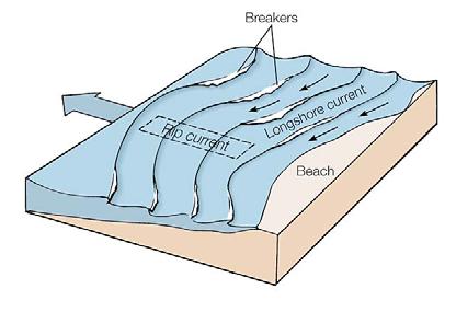 Breakers result in a buildup of water along the beach that moves as a longshore current.