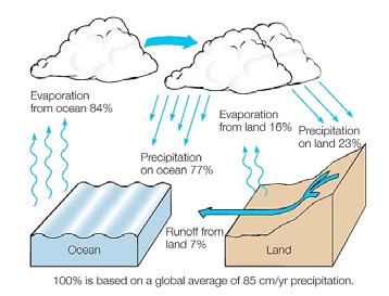 On the average, more water is evaporated from the ocean than