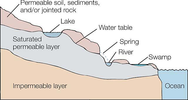 Groundwater from below the water table seeps into lakes, streams, and swamps and returns to the surface naturally at
