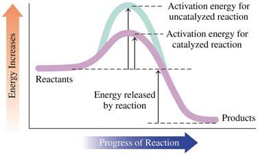 Catalysts Another way to speed up a reaction is to lower the activation energy. A catalyst speeds up a reaction by providing an alternate pathway that has a lower activation energy.