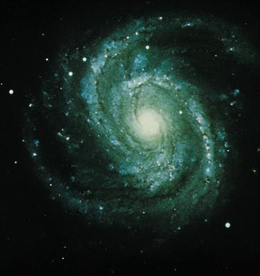 The distribution of stars in the Milky Way is in a thin disk.