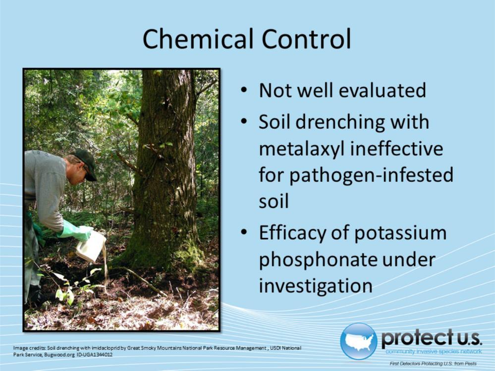 Chemical control options for Phytophthora quercina have not been well evaluated.