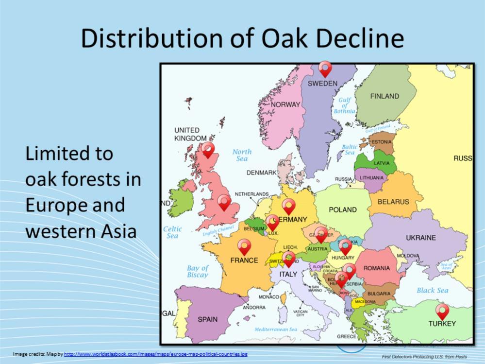 The present known distribution of Oak Decline is limited to oak forests in Europe and western Asia (16).