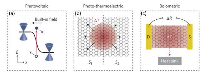 Bolometric effect The temperature of graphene can be changed due to light irradiation; hence, the resistance of the active material (graphene) of the photodetector changes.