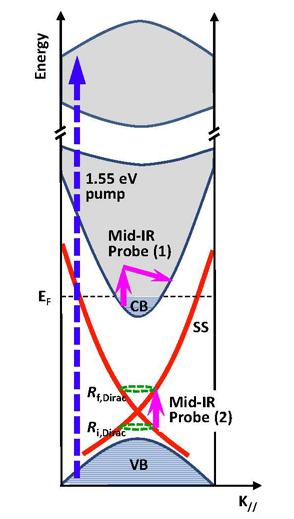 3- Optical pump Mid-IR probe Topological insulator Bi Se 3 Estimate