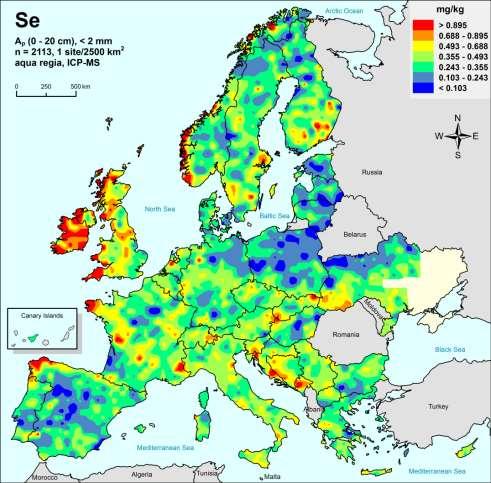 Selenium: health aspects Selenosis in Limerick (cattle, horses) Se deficiency is widespread in Finland, Sweden, Denmark Se toxicity is