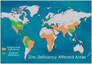 available Zn low enough to cause Zn deficiency <1% of the samples reach