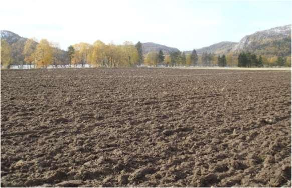 restriction of CHemical substances) agricultural soil (A p -horizon), 0-20 cm 2 sample