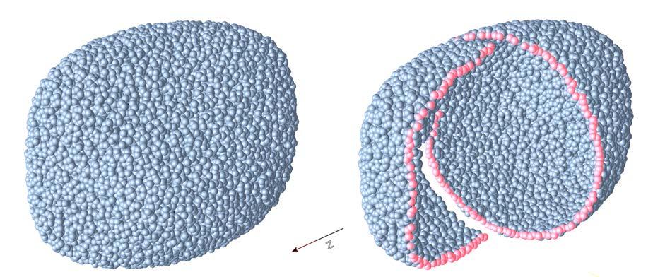 Figure 4: The ECR zone of SWISSCASE: Isosurface of a constant magnetic field (left image) and cut-away seen