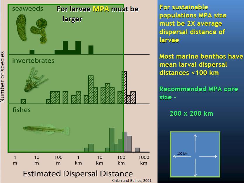 Connectivity-larval dispersal Need to allow for