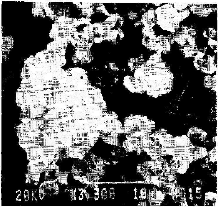 Precipitated Calcium Carbonate Crystals Note