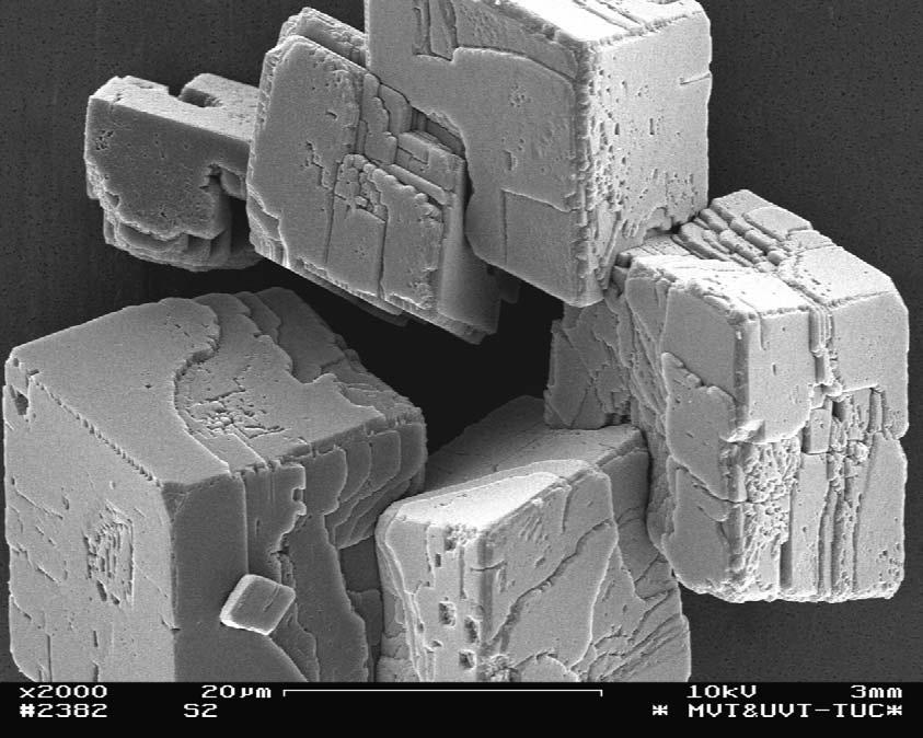 SEM Micrographs of Calcium