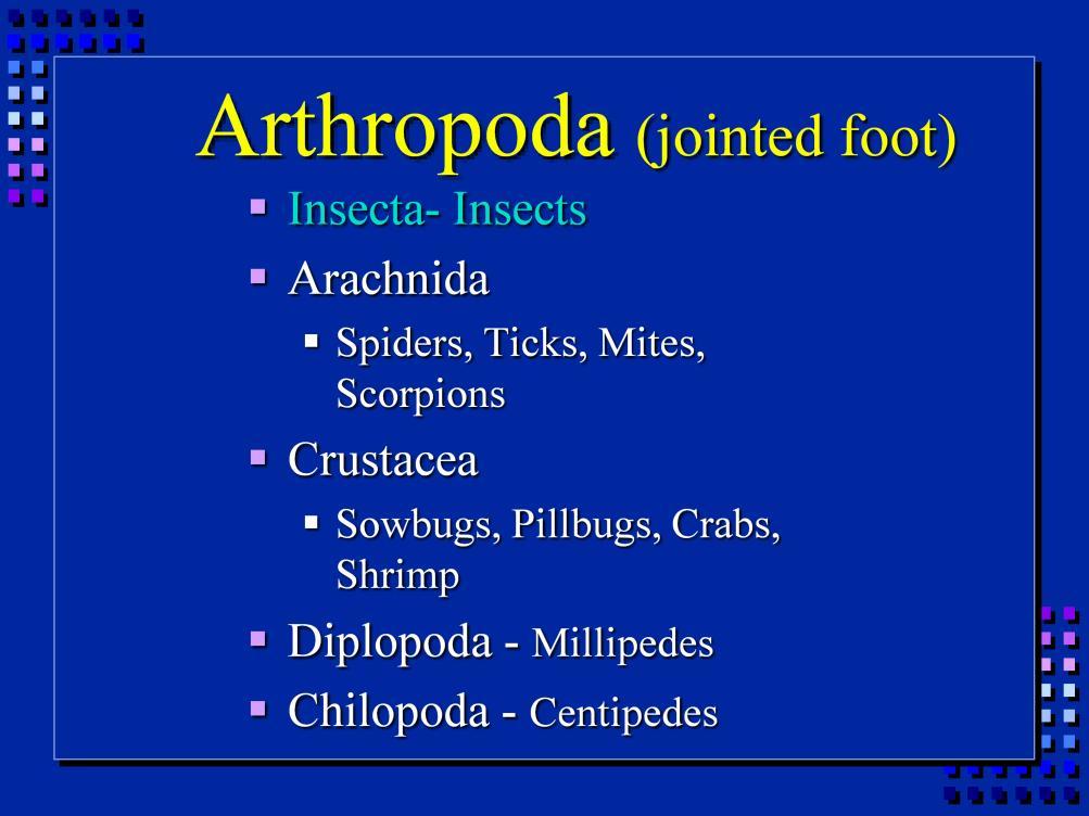 Insects and mites are arthropods.
