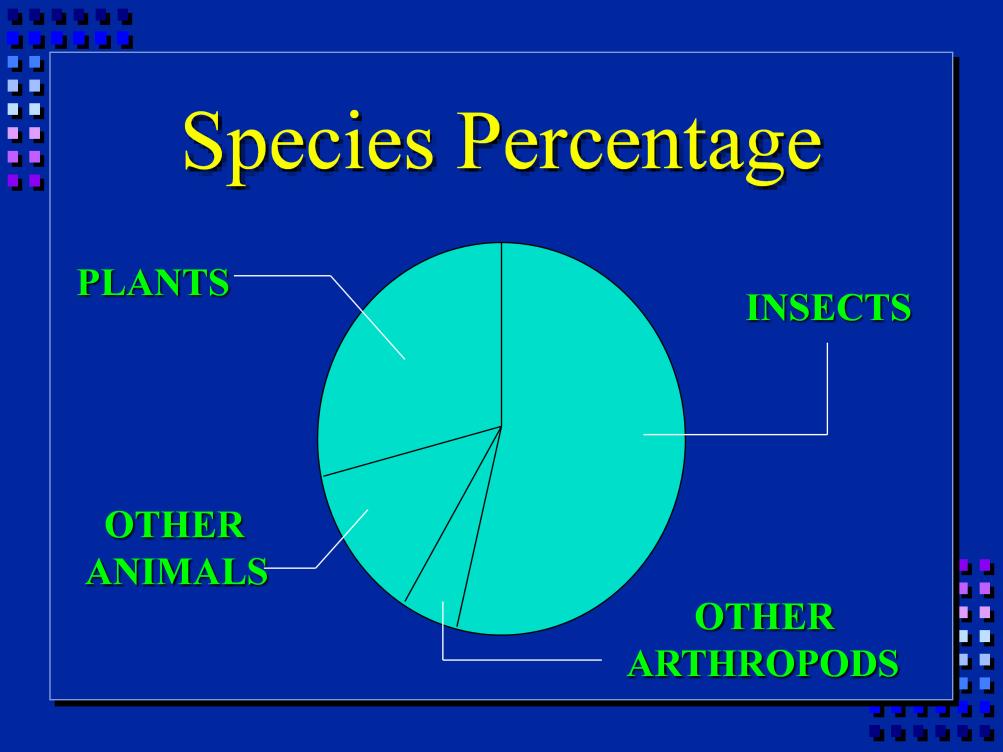There are more species of insects than any other group of organisms.