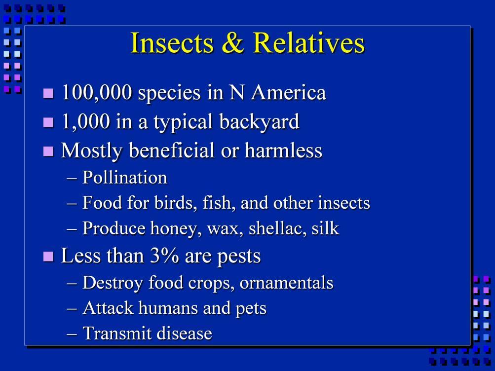 Very few of the insects we currently run into are considered pests.
