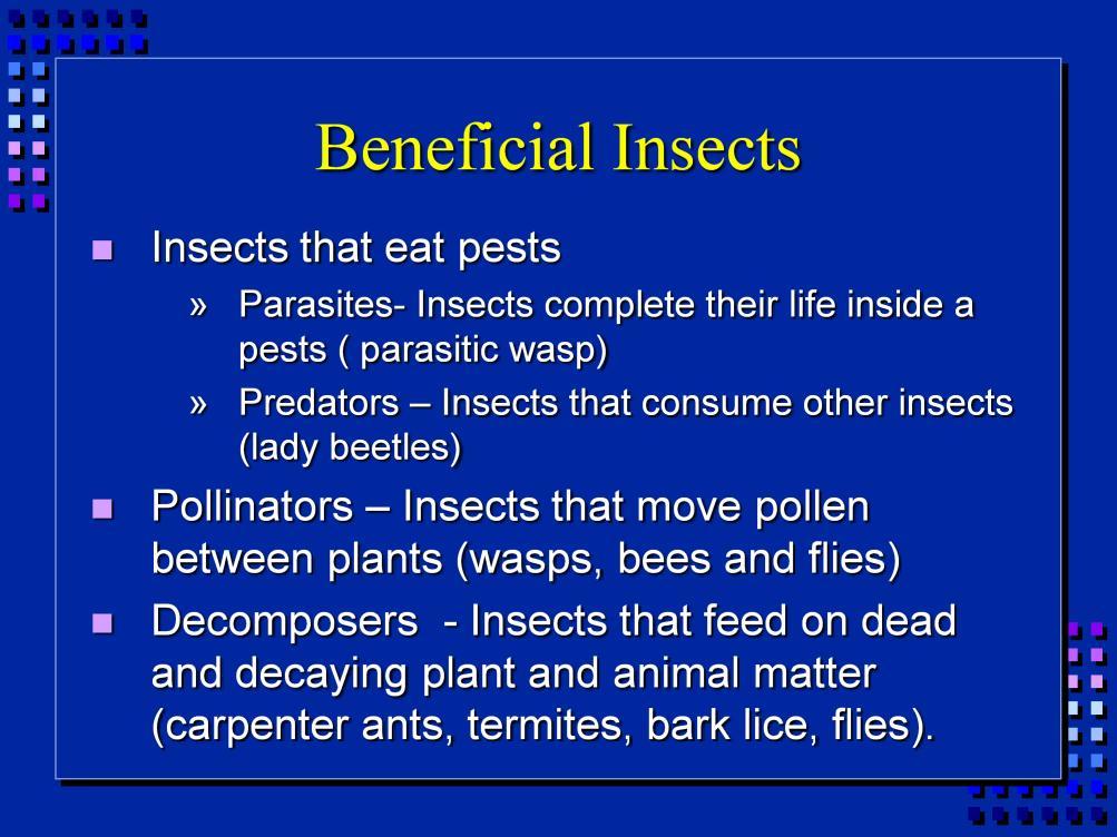 Insects can be considered beneficial (to humans) for several major reasons.