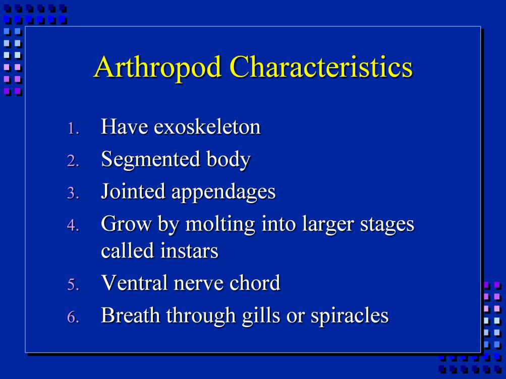 These are the shared characteristics of arthropods. Most of these we don t need to worry about for the scope of this class.