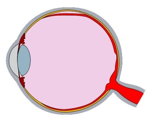 Image formatio by simple curved surface (sphere with radius r): si si The power (refractive stregth): o i r D Applicatio: for the huma eye (ext week) e.g. the power of corea