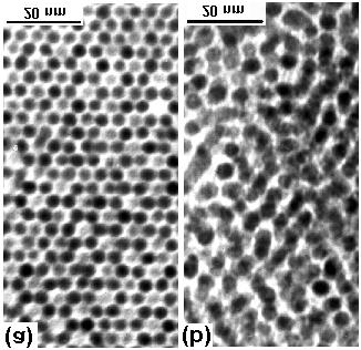 Self-Assembled L1 FePt Nanoparticles (S. Kang, S. Wang, M. Chen, D. Nikles) (a) Before annealing: d ~ 3.