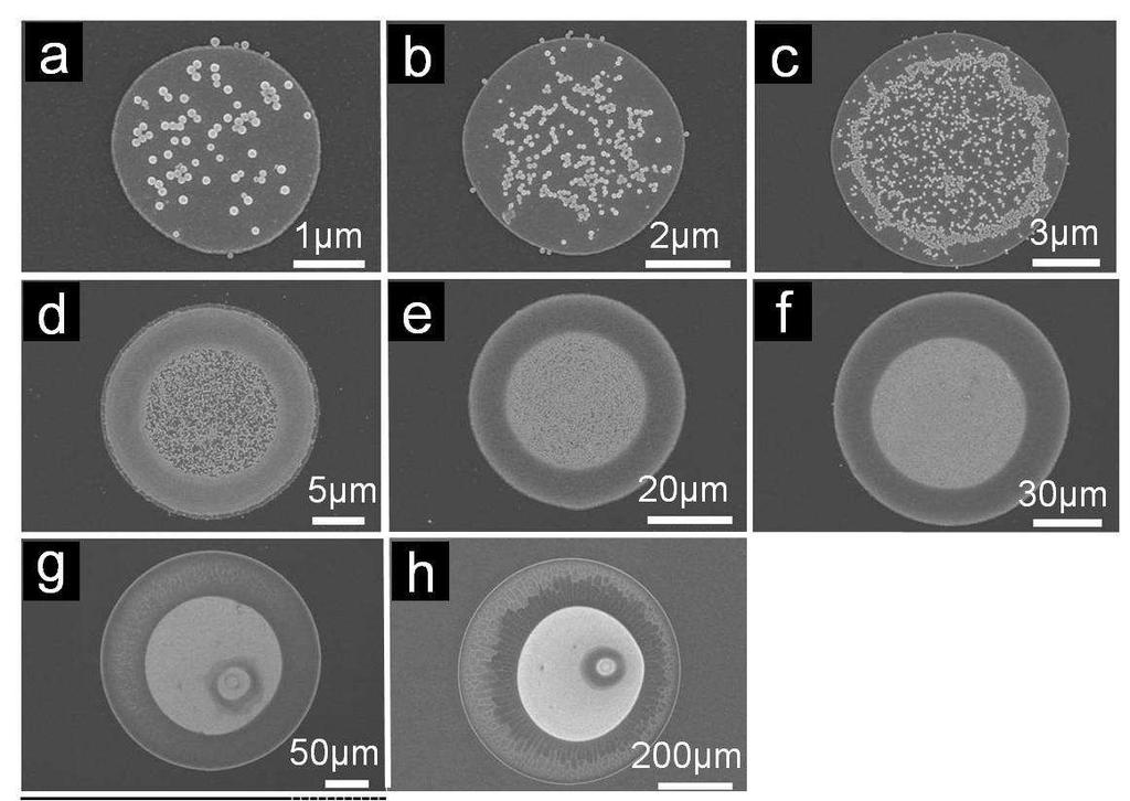 Nanoparticle Deposits at Different Length Scales Figure S3. SEM images for nanoparticle deposits on hydrophilic Pt structures with diameters ranging from 3 µm to 500 µm.