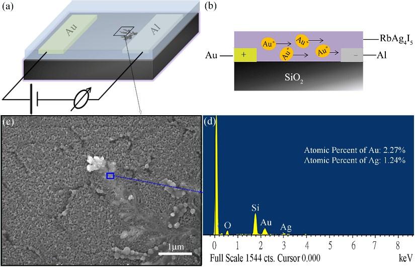 Verification of the Transportation of Au + Ions in RbAg 4 I 5 An Au film and an Al film were deposited on the opposite sides of quartz glass substrate as an anode and a cathode respectively, through