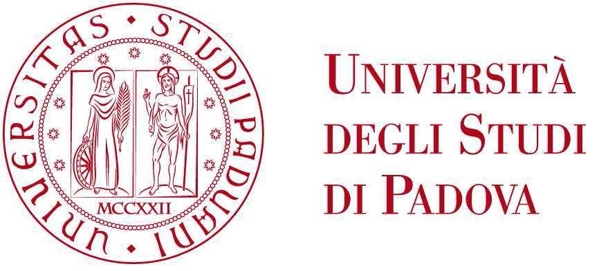 Università degli Studi di Padova Department of Industrial Engineering Master Degree