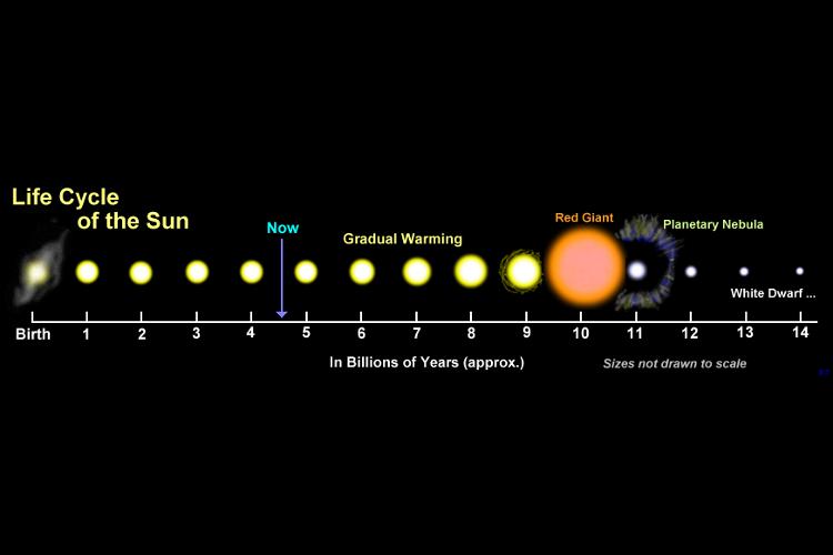 Slide 61 / 106 Slide 62 / 106 Life of the Sun Supernova There are a some stars that get really huge! They are called Supergiants!