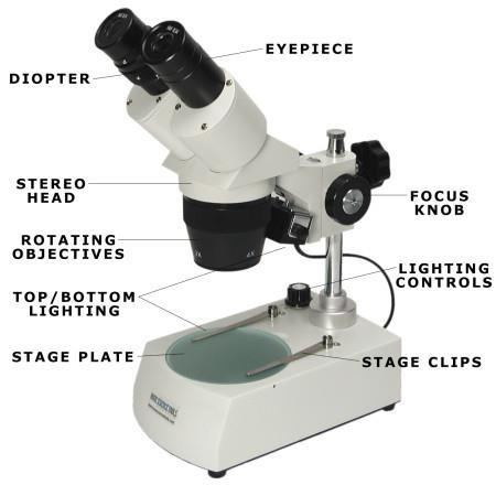 Microscope Low magnification used for examining or dissecting larger items and