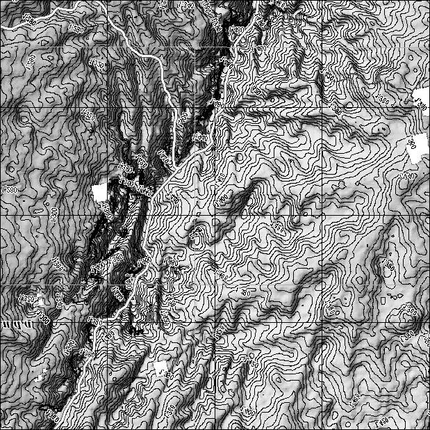 Figure 9. Interferometric DEM, shown as hillshaded relief model with topographic contours (every 5 m.