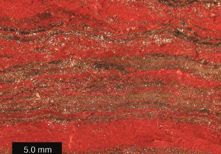 Study the following pictures of banded iron formation