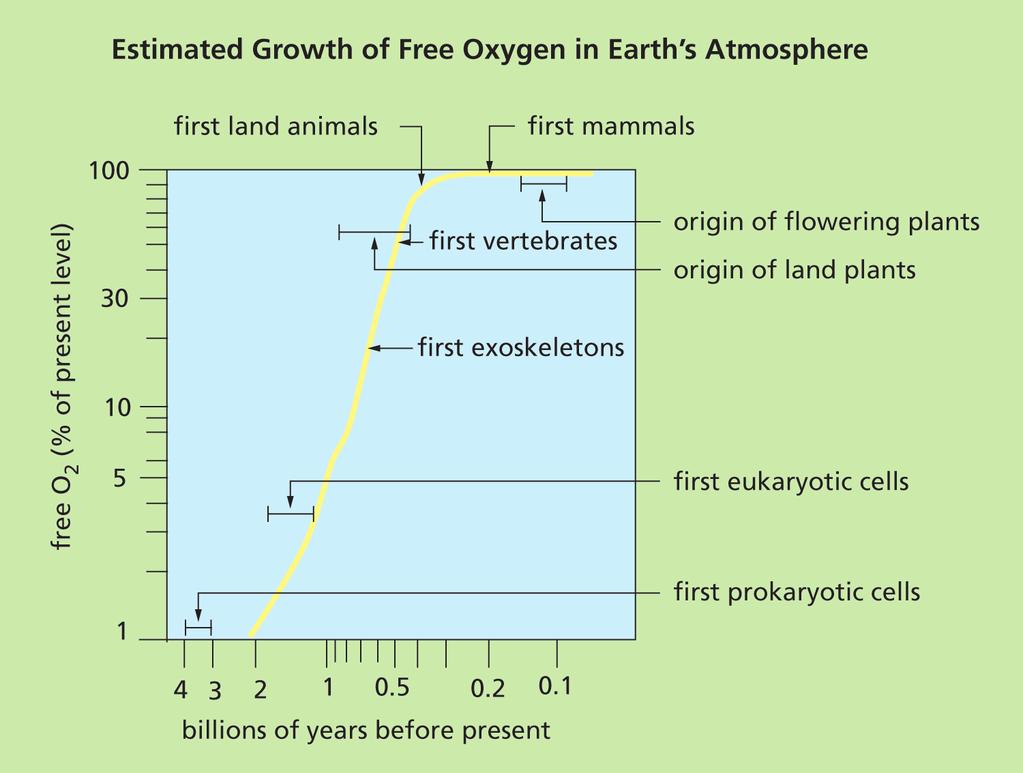 Section 4 The Biosphere and the Evolution of the Atmosphere The Rise of Oxygen in the Atmosphere Where did the oxygen to form the banded iron formations come from?