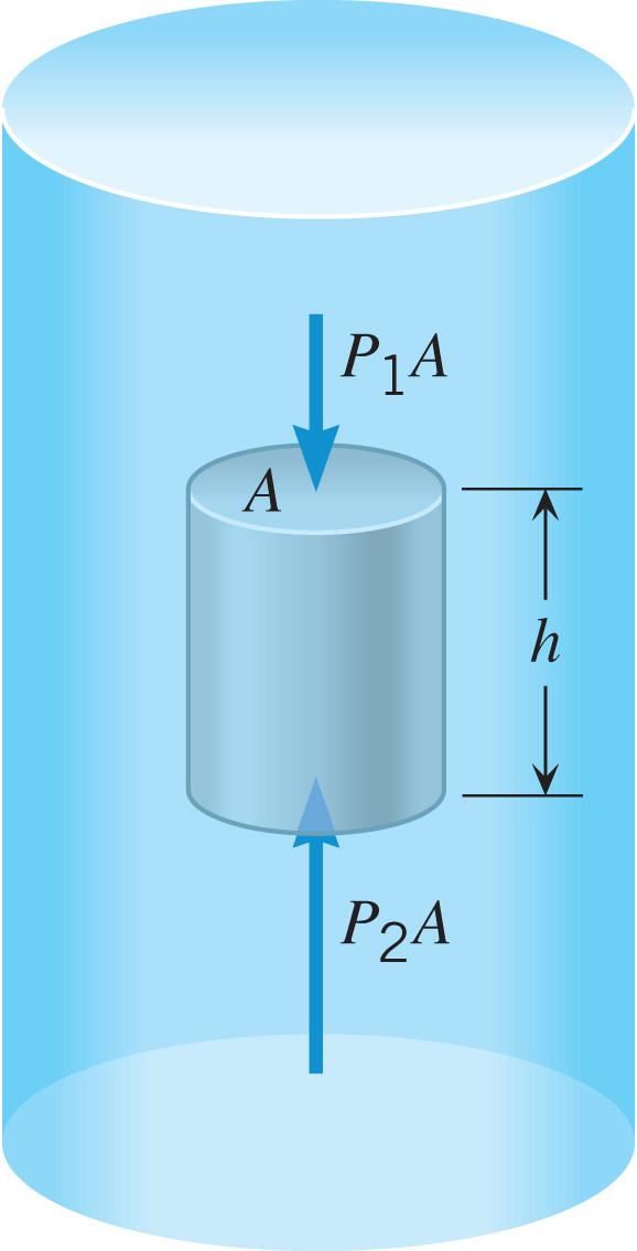 11.6 Archimedes Principle P P 1 ρ gh F ( B P A P 1 A P